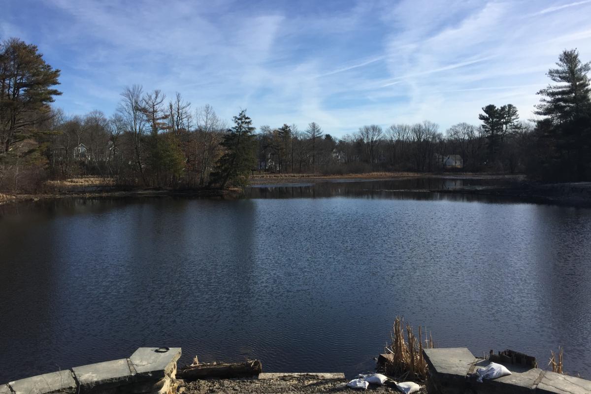 1-2-19 Pond filled after dredge