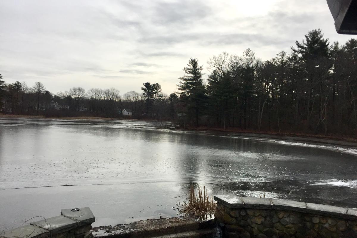 1/29/19