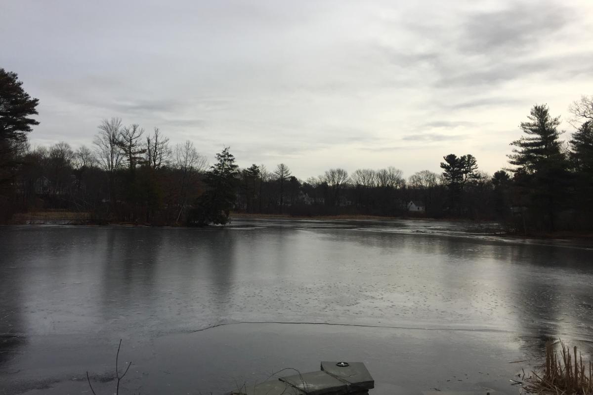 1/29/19