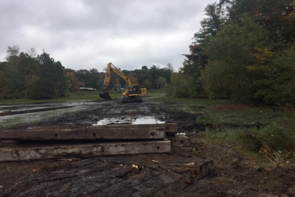 Installing the timber road to access dredge materials