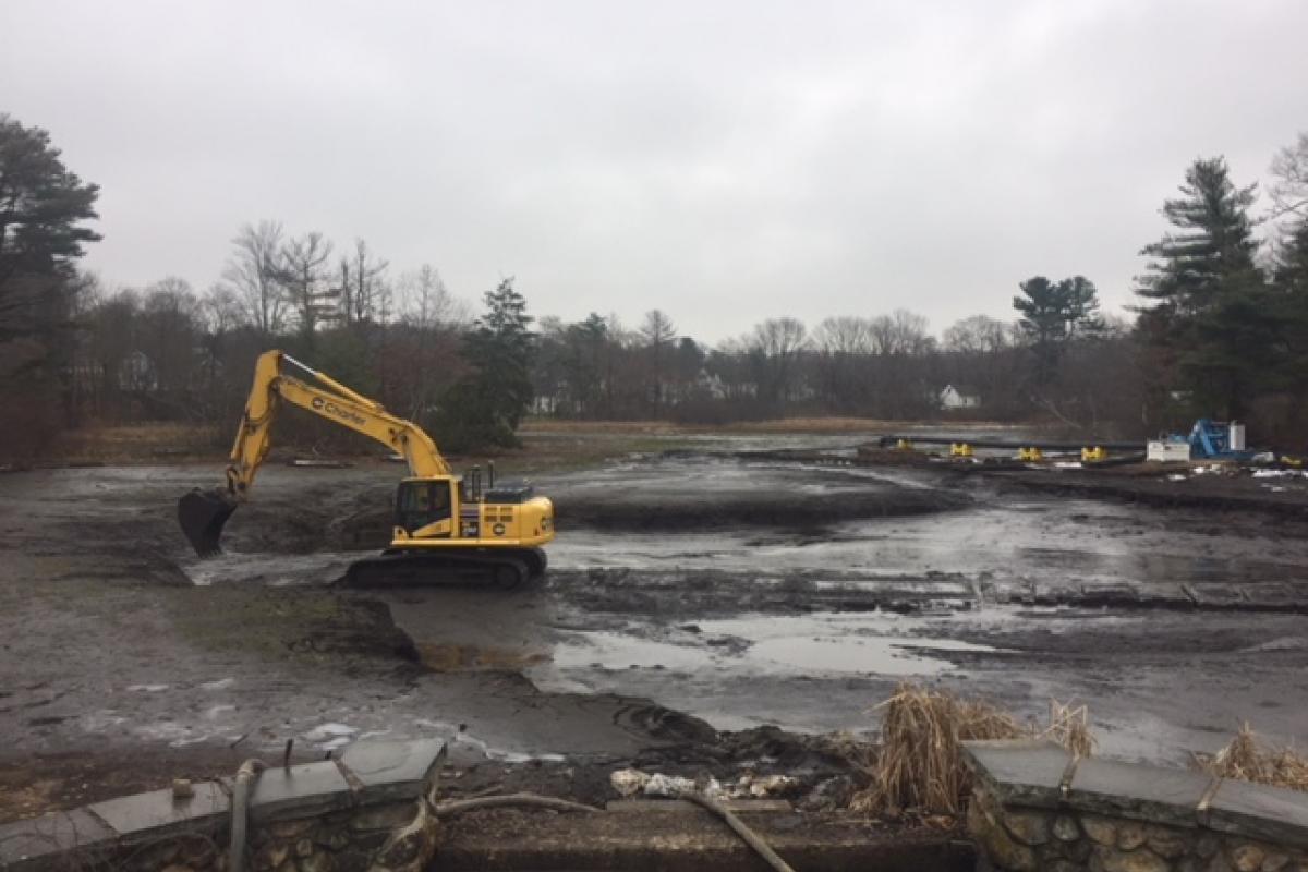 11-19-18 up and excavating again.