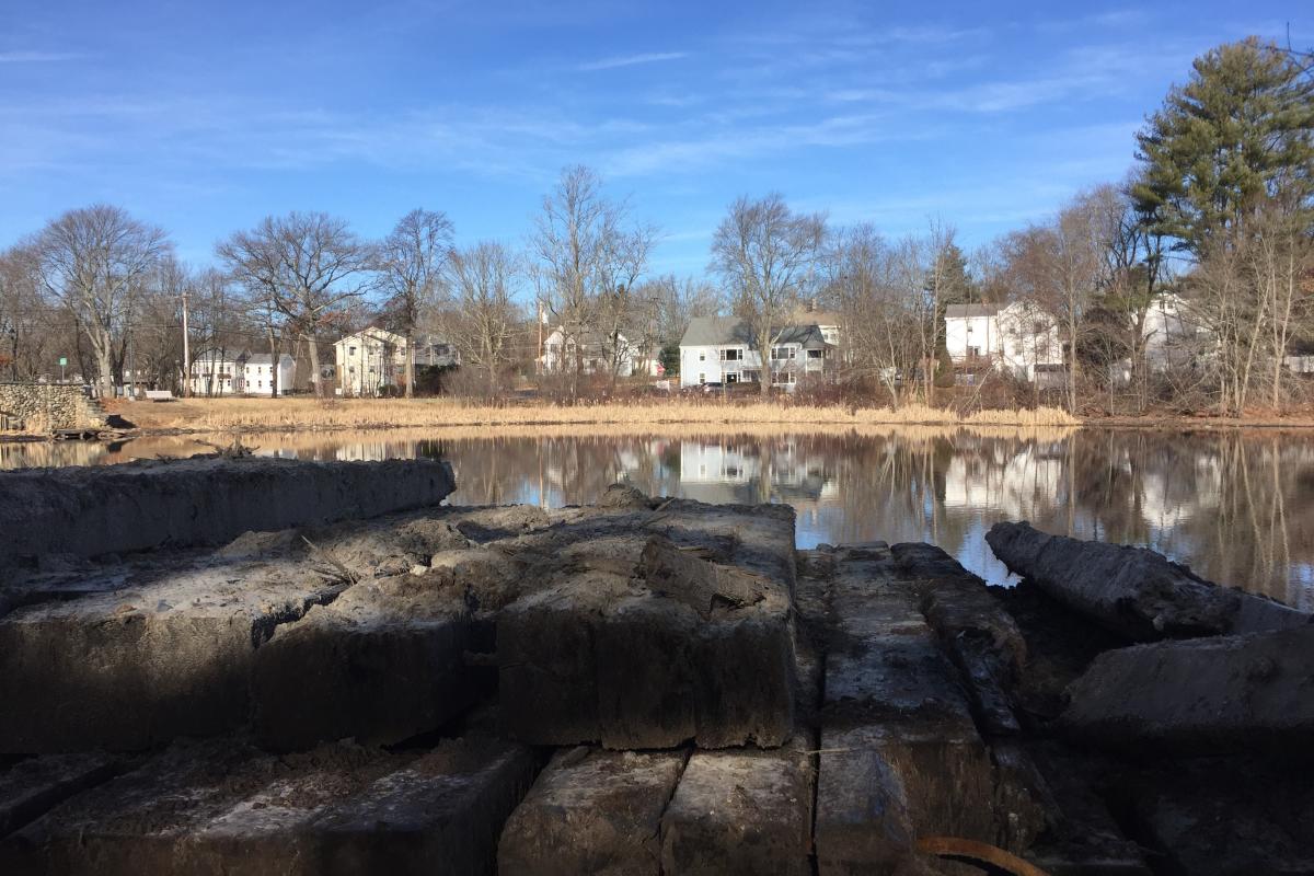 Looking across pond towards East Street