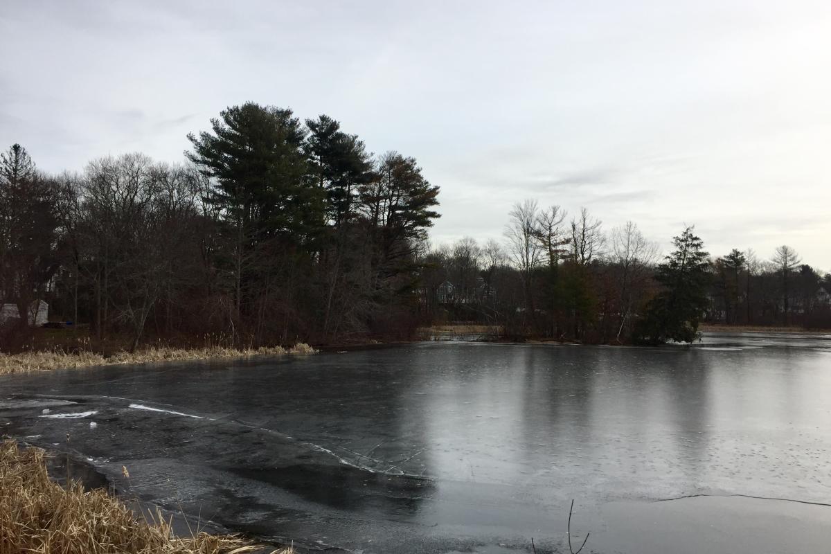 1/29/19 Pond elevation up