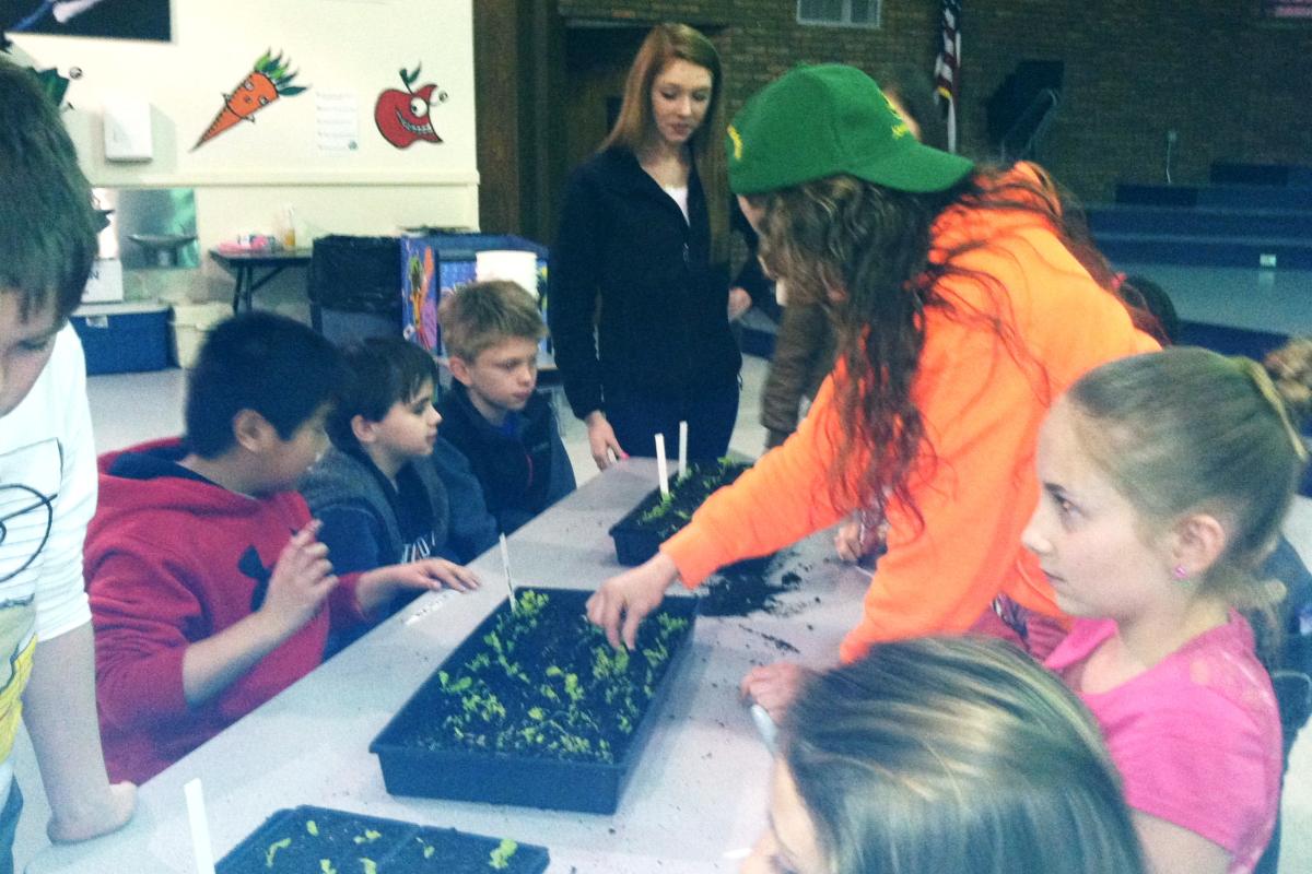 The students at the Walpole Agricultural School helping with the final touches to assure our lettuce is the best!