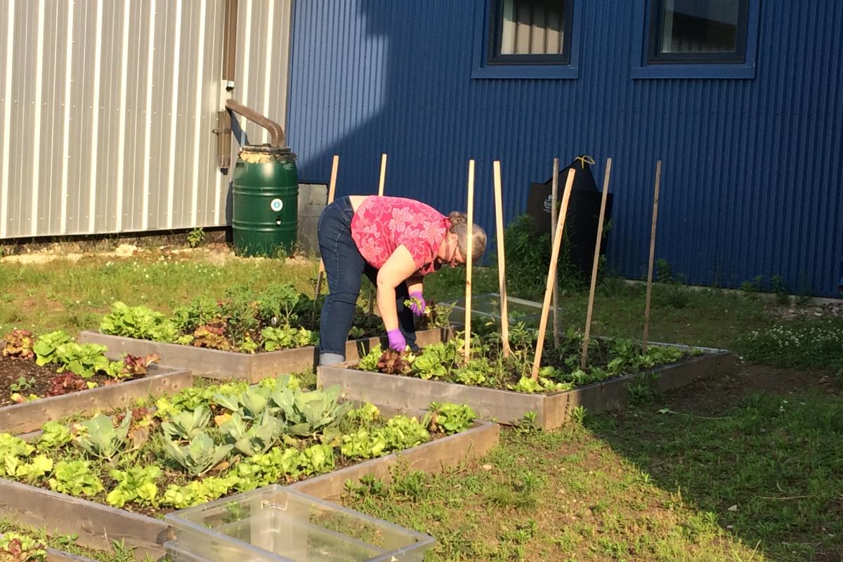 Elm Street Lettuce Party!
