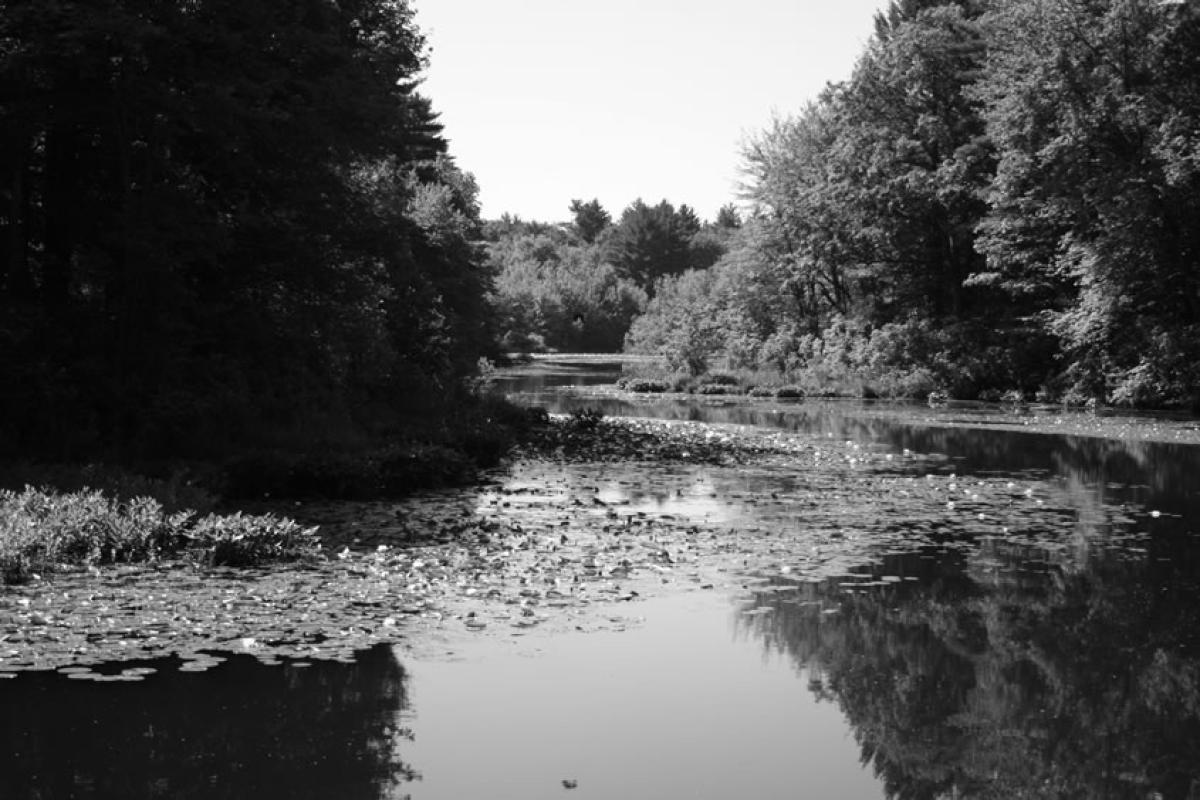 Neponset River