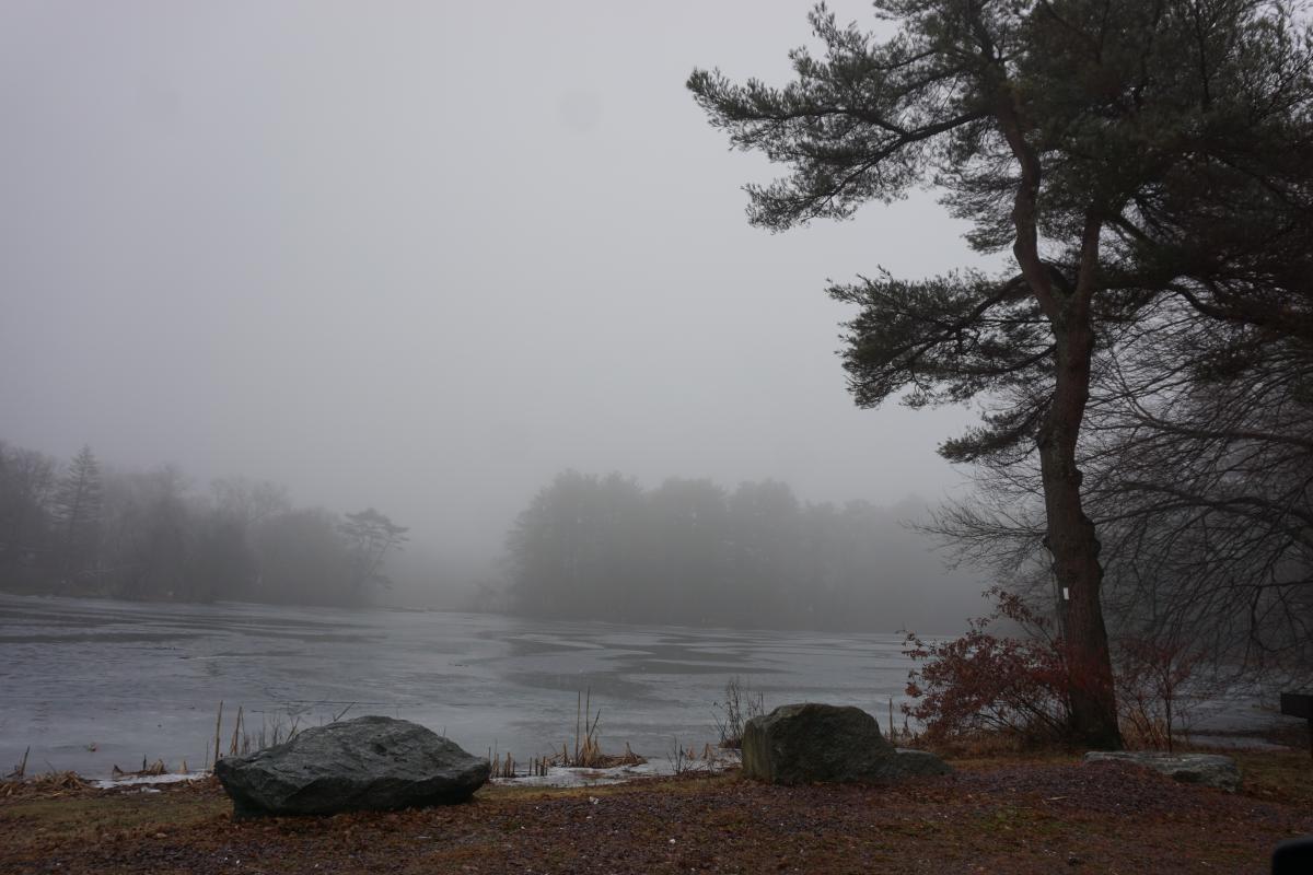 Clarks Pond Fog