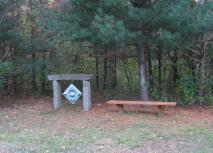 town forest