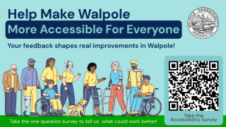 Walpole Accessibility Survey