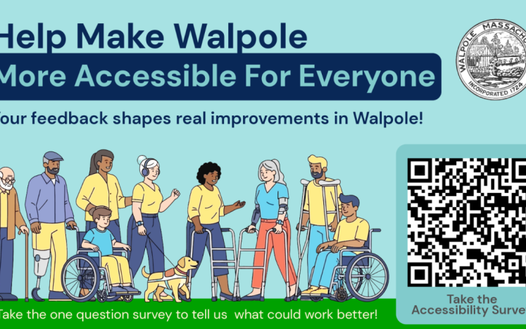 Walpole Accessibility Survey