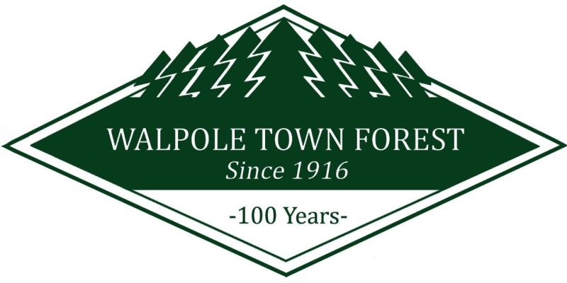 Diamond Town Forest logo as a pdf
